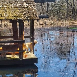 Meet your Posher, Zack